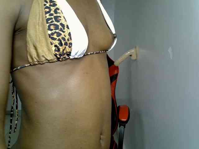 Dinah-6 webcam