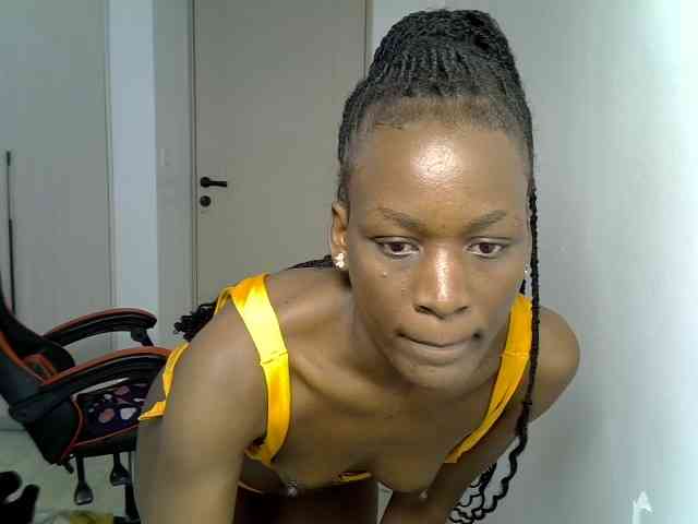 Dinah-6 webcam