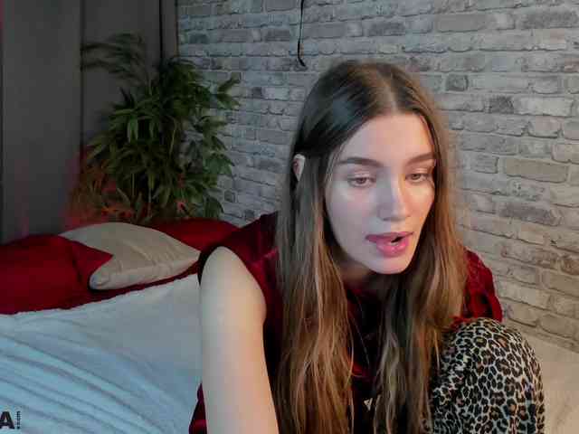 arisollis webcam