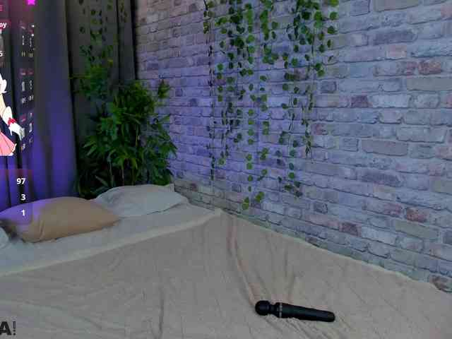 arisollis webcam