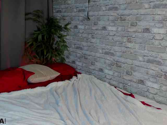 arisollis webcam