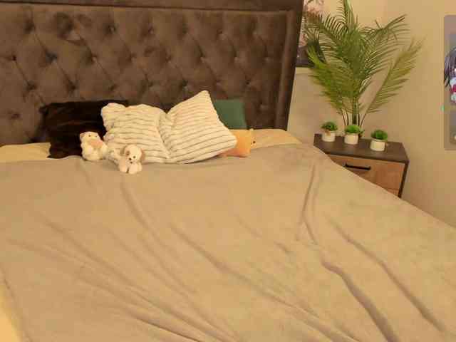 arisollis webcam