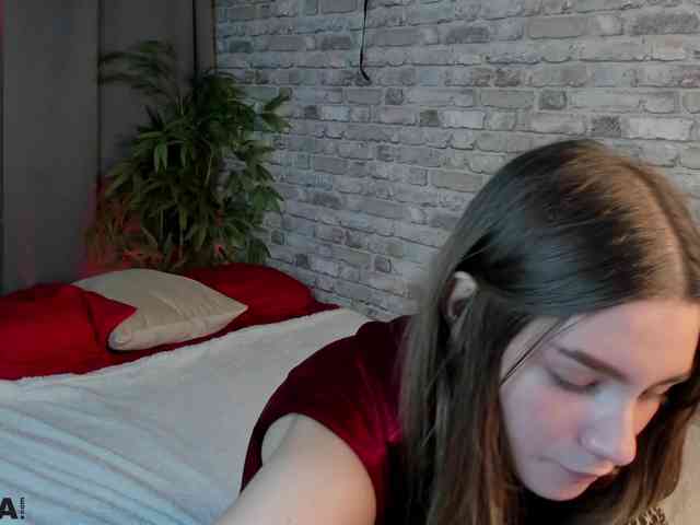 arisollis webcam