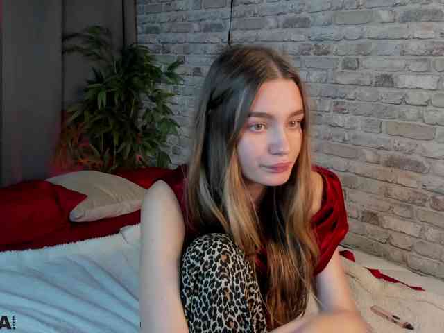 arisollis webcam
