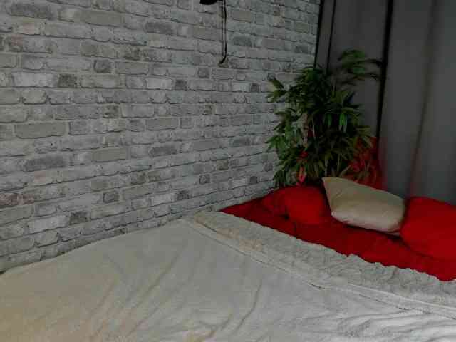 arisollis webcam