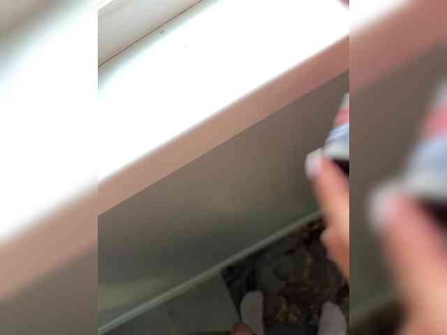Ctrastb webcam