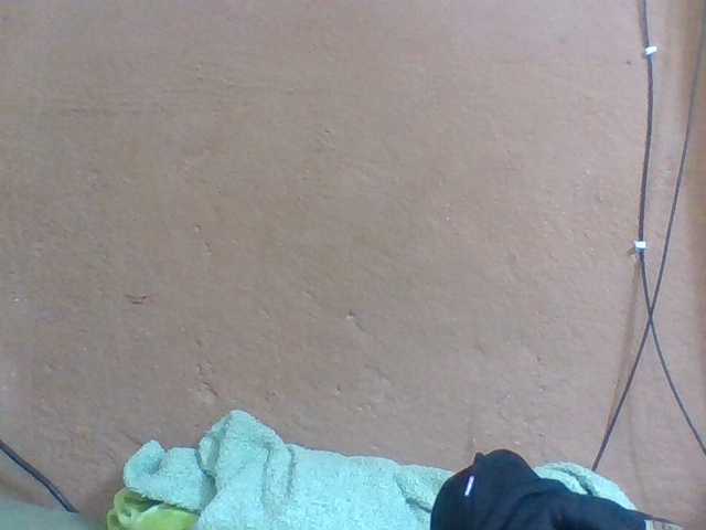 Honorine1a