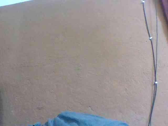 Honorine1a