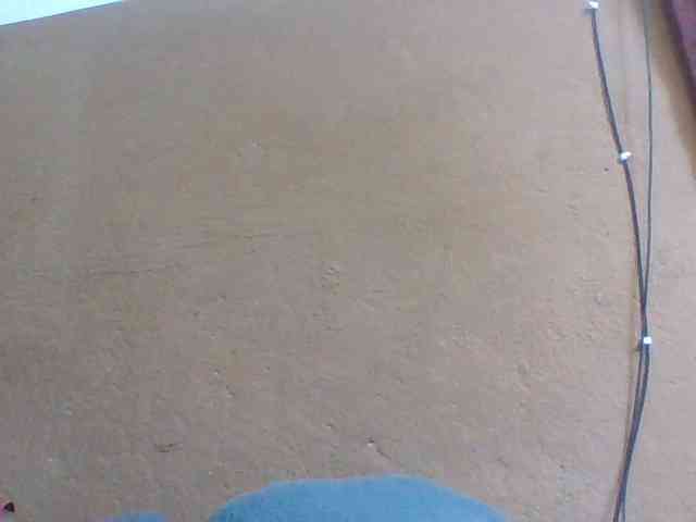 Honorine1a webcam