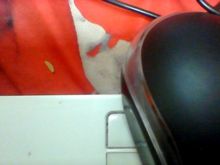 Clarah1's Live Webcam
