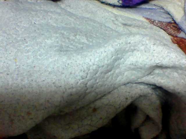 Clarah1