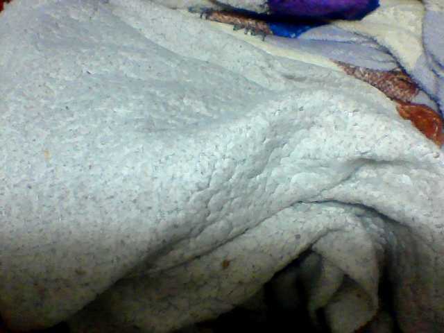 Clarah1