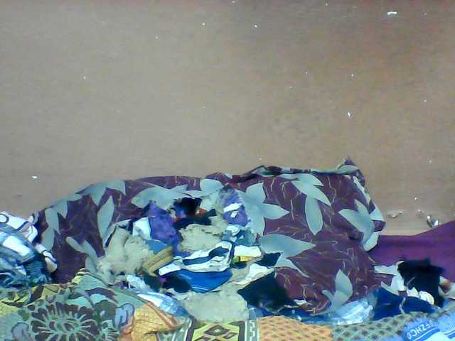 Clarah1 live cam preview