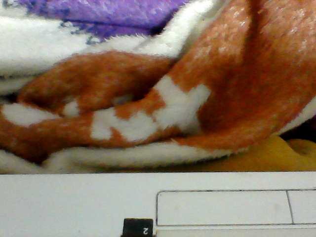 Clarah1