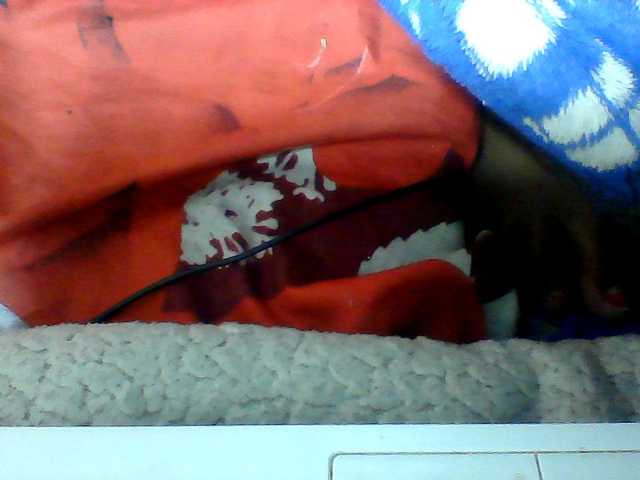 Clarah1
