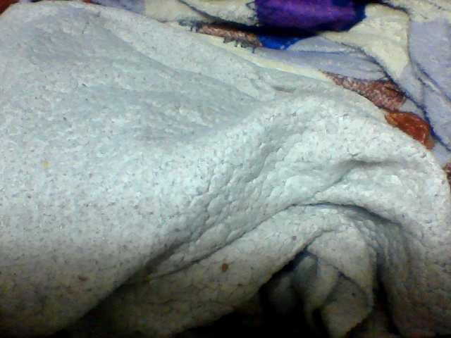 Clarah1