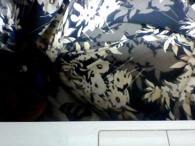 Clarah1 live cam