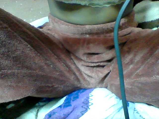 Clarah1