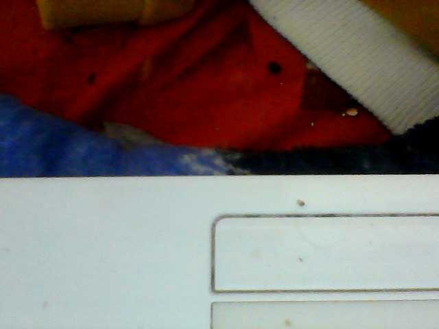 Clarah1