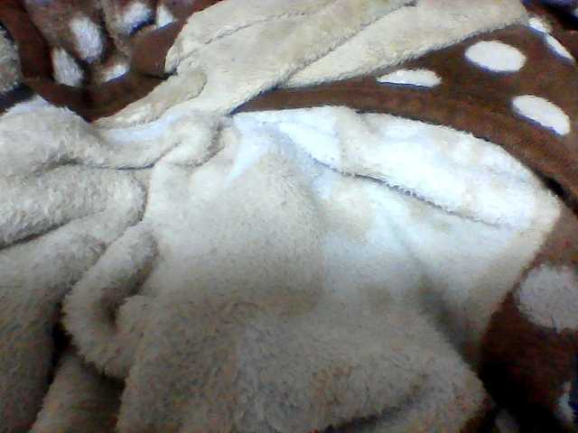 Clarah1