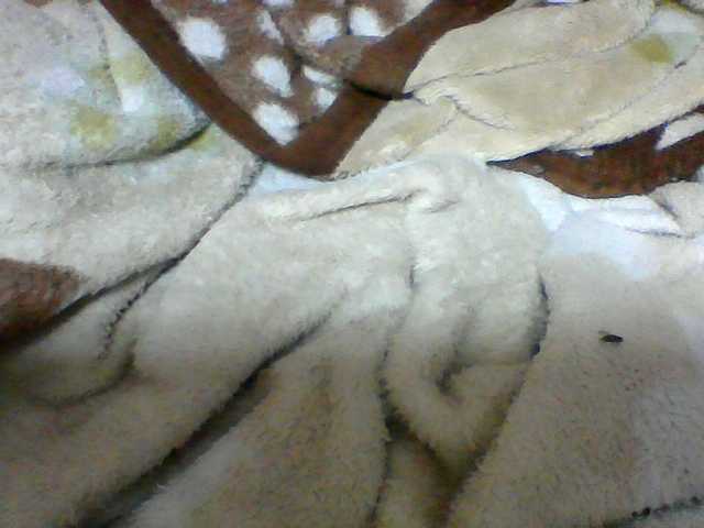 Clarah1