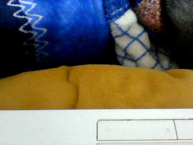 Clarah1 live cam on BongaCams