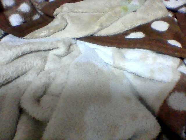 Clarah1