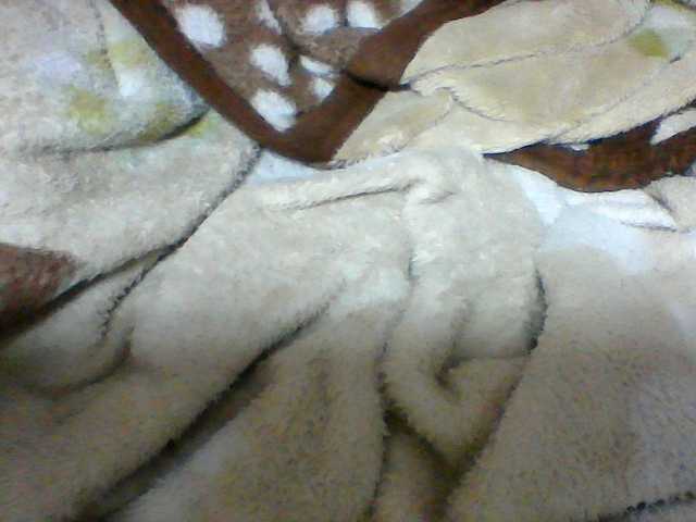 Clarah1