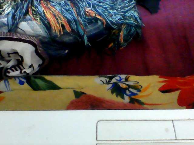 Clarah1