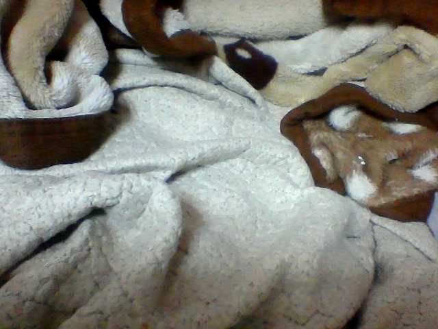 Clarah1