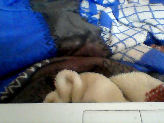 Clarah1 live cam on BongaCams
