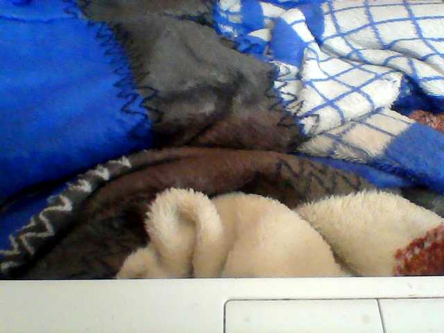 Clarah1 live cam on BongaCams