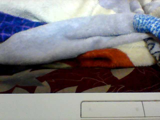 Clarah1 live cam on BongaCams