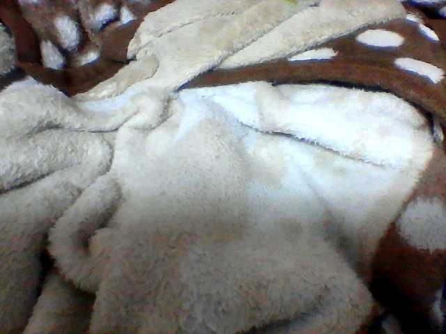 Clarah1