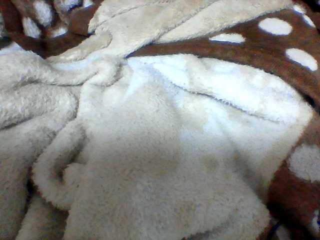 Clarah1