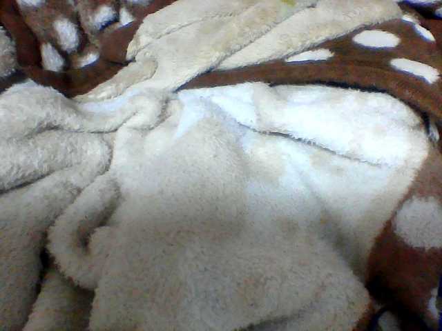 Clarah1 live cam on BongaCams