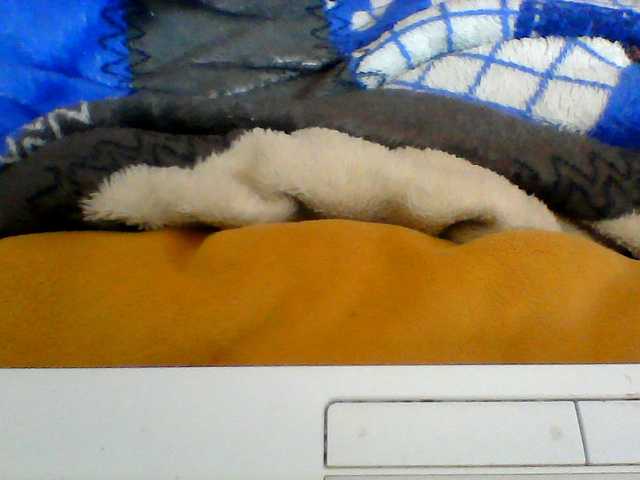Clarah1 live cam on BongaCams