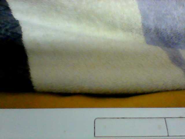 Clarah1