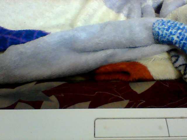 Clarah1 live cam on BongaCams