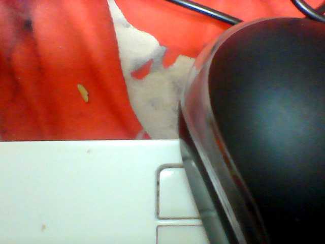 Clarah1 live cam on BongaCams