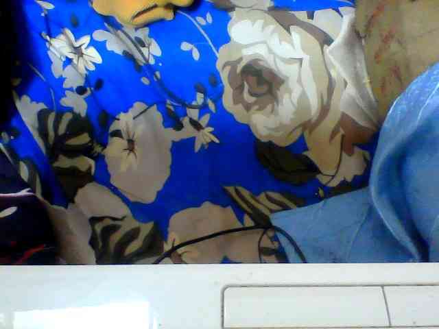 Clarah1 webcam