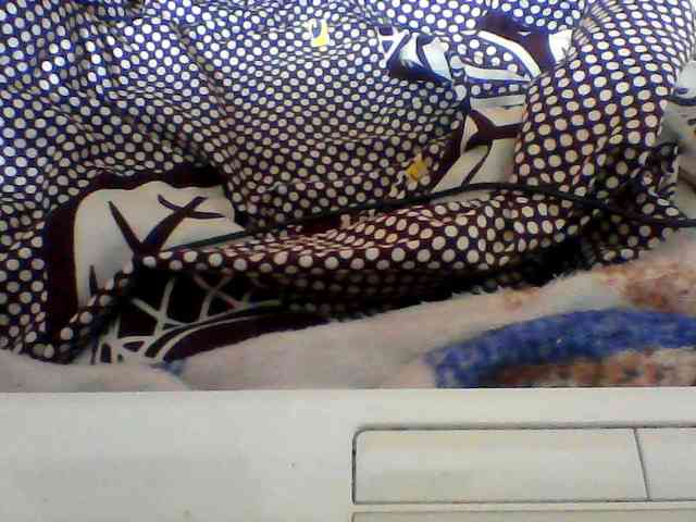 Clarah1 webcam