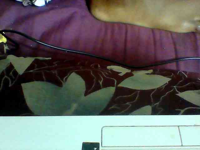 Clarah1 webcam