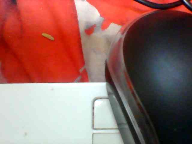Clarah1 webcam