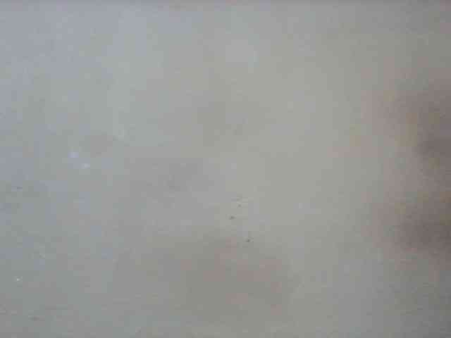 Clarah1 webcam