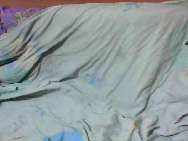 Clarah1 webcam