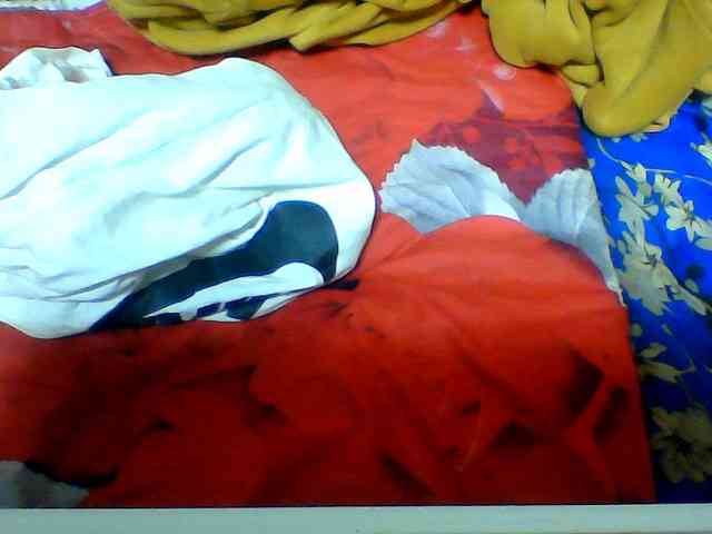 Clarah1 webcam