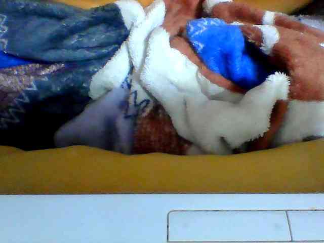 Clarah1 Clarah1