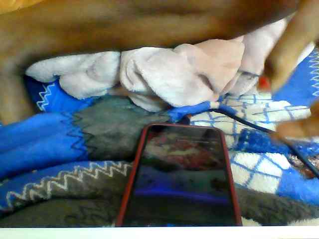 Clarah1 webcam