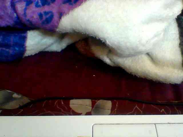 Clarah1 webcam